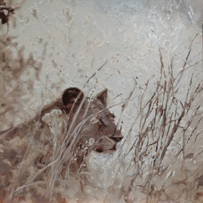 Ethereal Harmony_Veiled Majesty of the Lioness 76.5x76.5, oil