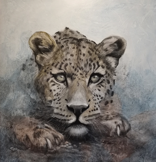 Pounce 100x100 charcoal and watercolour on panel